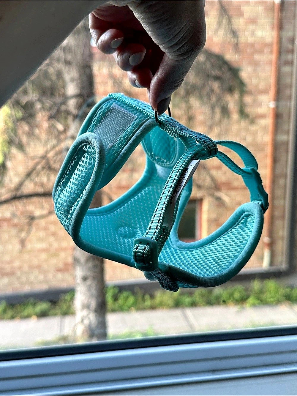 Mesh Cat Harness & Leash Set in Mint Green - Youly